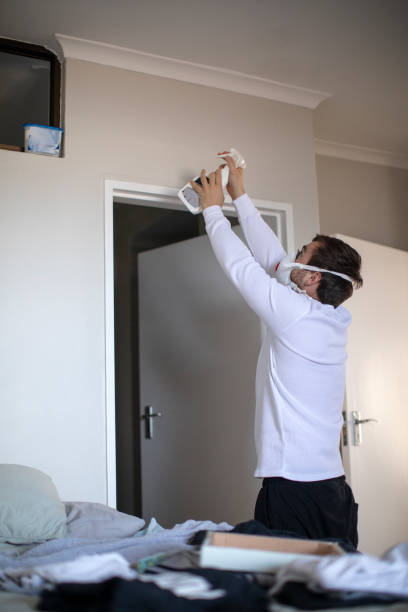 Best Mold Removal for HVAC Installations  in Hubbard, OH