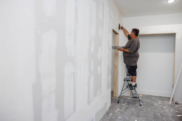 Best Water Damage & Mold Remediation  in Hubbard, OH