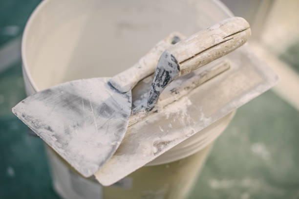 Best Mold Remediation for Rental Properties  in Hubbard, OH